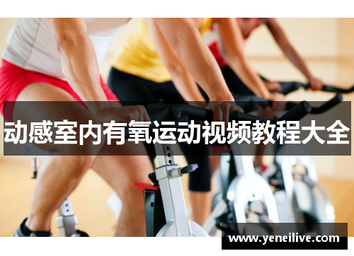 动感室内有氧运动视频教程大全