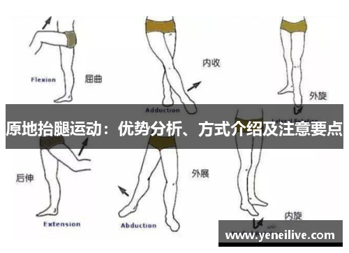 原地抬腿运动：优势分析、方式介绍及注意要点
