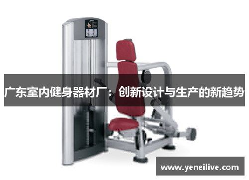 广东室内健身器材厂:创新设计与生产的新趋势