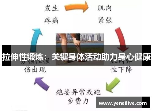 拉伸性锻炼:关键身体活动助力身心健康