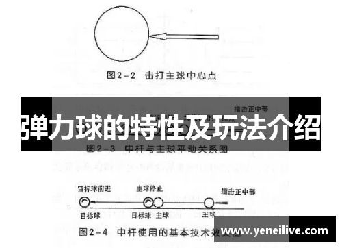 弹力球的特性及玩法介绍