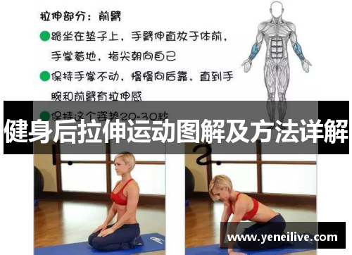 健身后拉伸运动图解及方法详解
