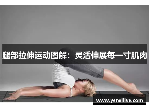 腿部拉伸运动图解：灵活伸展每一寸肌肉