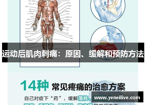 运动后肌肉刺痛:原因、缓解和预防方法