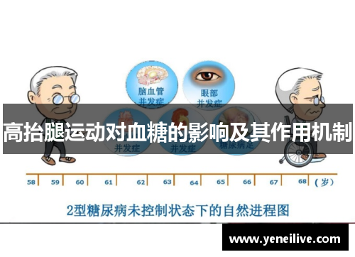 高抬腿运动对血糖的影响及其作用机制