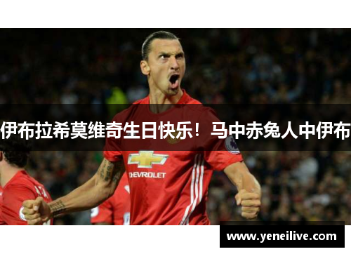 伊布拉希莫维奇生日快乐！马中赤兔人中伊布