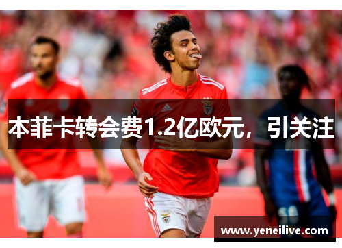 本菲卡转会费1.2亿欧元,引关注