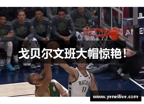 戈贝尔文班大帽惊艳！